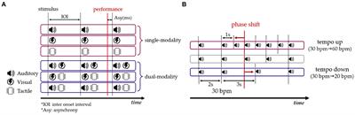 Impact of sensory modality and tempo in motor timing